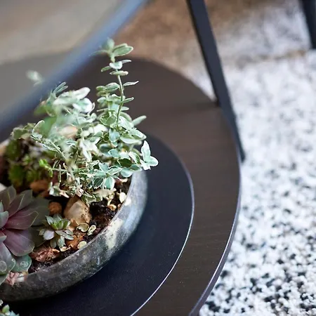 Miro - Center Of Trogir