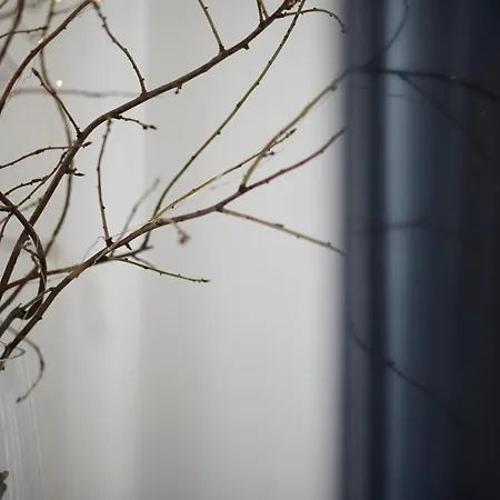 Miro - Center Of Apartament Trogir