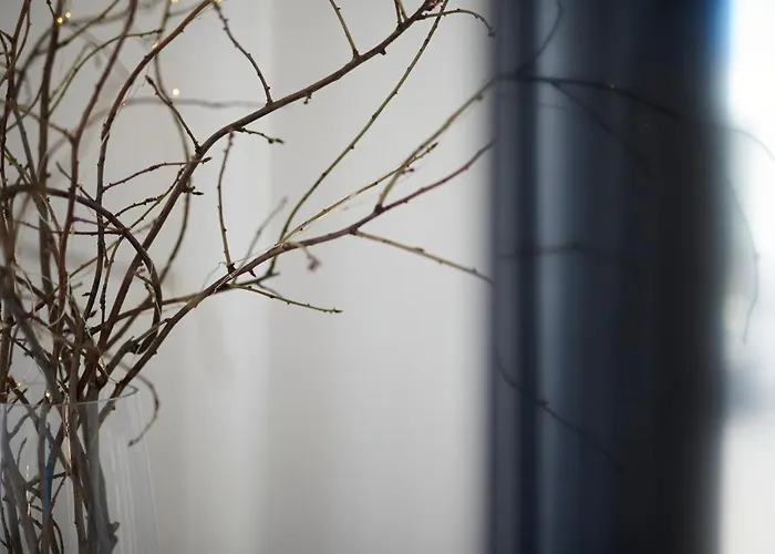 Miro - Center Of 公寓 特罗吉尔