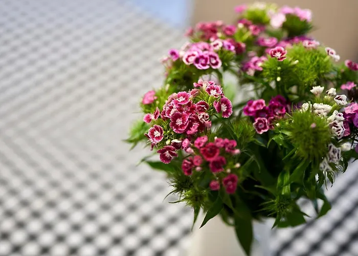 Miro - Center Of * 特罗吉尔