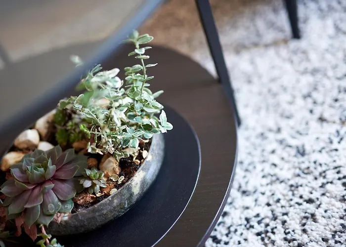 Miro - Center Of 特罗吉尔